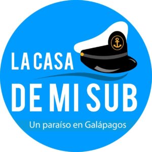 Inicio sub